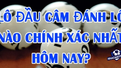 Lô đầu câm là gì? Kinh nghiệm đánh lô câm đầu hiệu quả