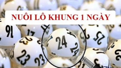 Nuôi lô khung 1 ngày - Hướng dẫn chi tiết dành cho người mới