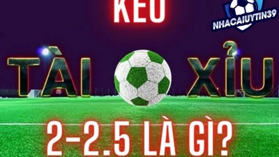 Kèo tài xỉu 2-2.5: Cách đọc kèo và mẹo chơi hiệu quả